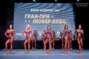 BIKINI НОВИЧКИ 164